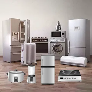 Domestic Appliances