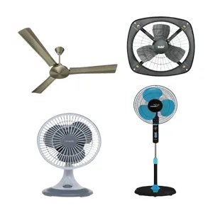 Fans