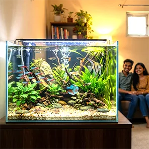 Fish & Aquarium