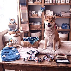Pet Clothing & Accessories