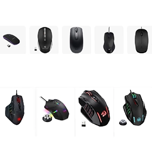Mouse